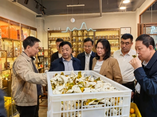 高永平赴广东省开展招商考察活动 推动定西中医药产业高质量发展