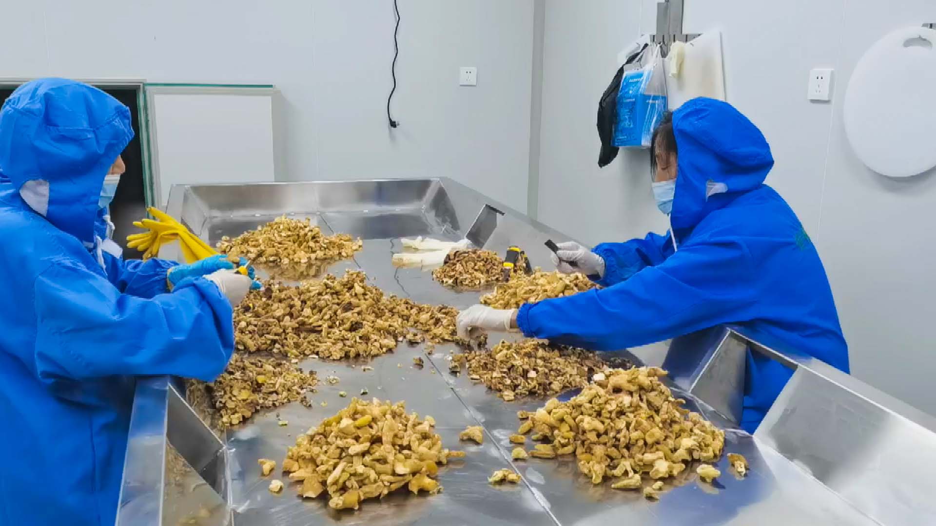 专家“传经送宝” 科技赋能崇阳黄精产业产供销升级