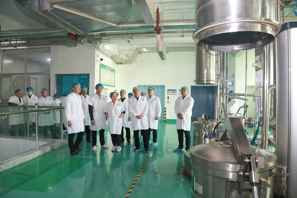 深化产学研协同，共探中草药研发新路径——广东药科大学中药学院与汕头市医学科学院专家团莅临康美药业交流
